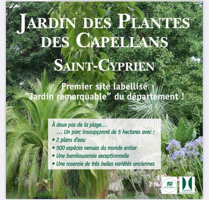 Golf Cyprien Ground Floor 2 Bedrooms With Terrace Apartment Saint-Cyprien (Pyrenees-Orientales)
